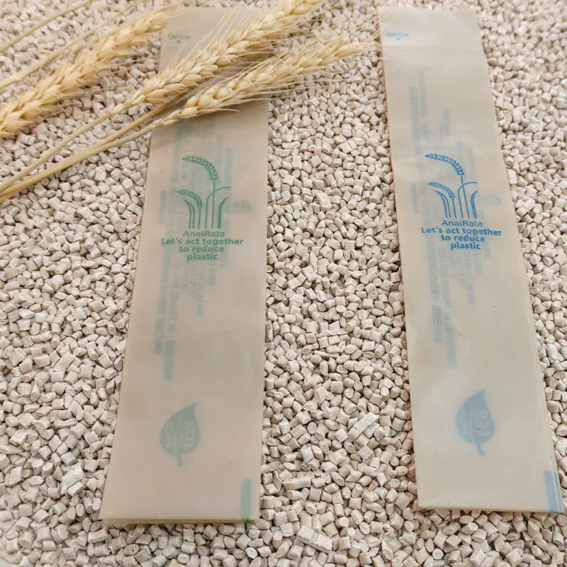 What Are Bio-Based Plastics Made From?