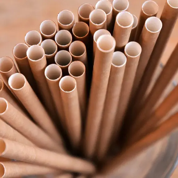 To create a green world, plastics also need sustainable development